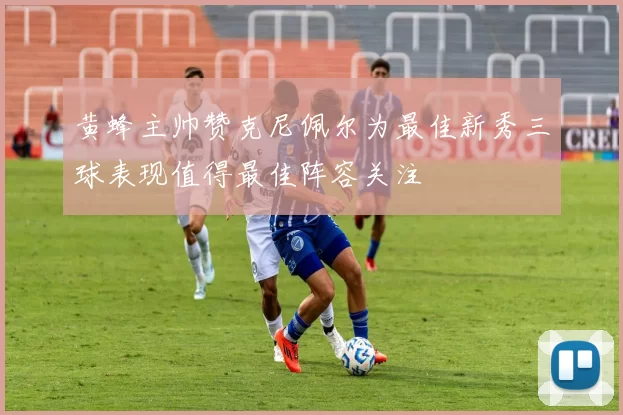黄蜂主帅赞克尼佩尔为最佳新秀三球表现值得最佳阵容关注